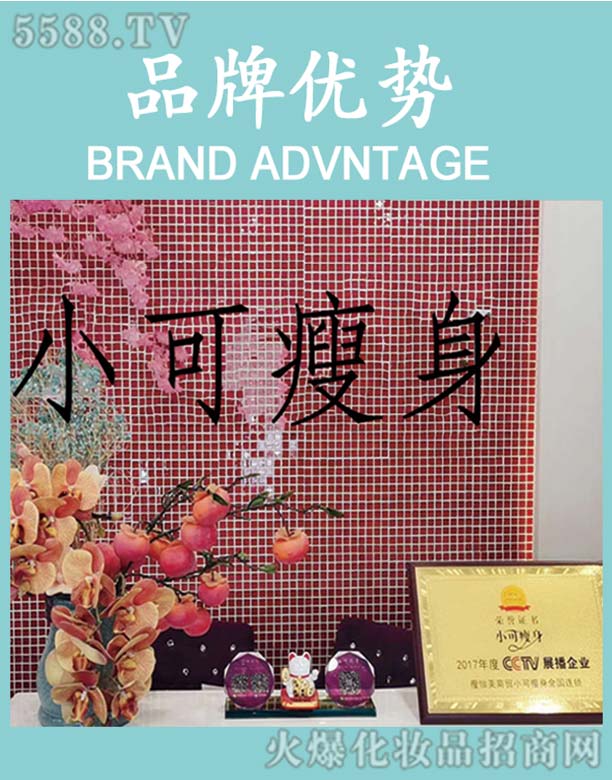 �������������Q(m��o)���޹�˾��С��Ʒ�ƃ�(y��u)��