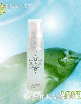 �˅����w���A