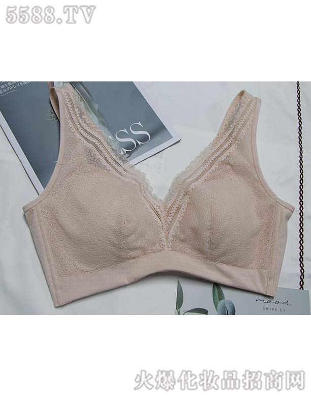 Ҽ��(�V��)����̄����޹�˾������(���w)