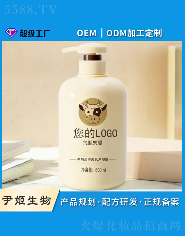 ţ�̝���������ԡ¶oem