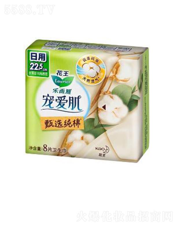 �����Ō��ۼ����x���޽z����22.5cm��8p��ס������ܛ