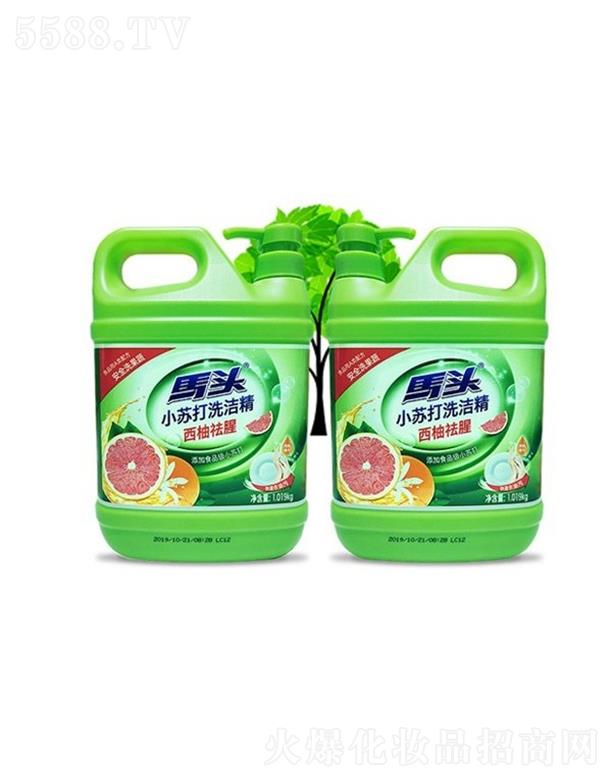 �R�^С�K��ϴ����  1.019kg