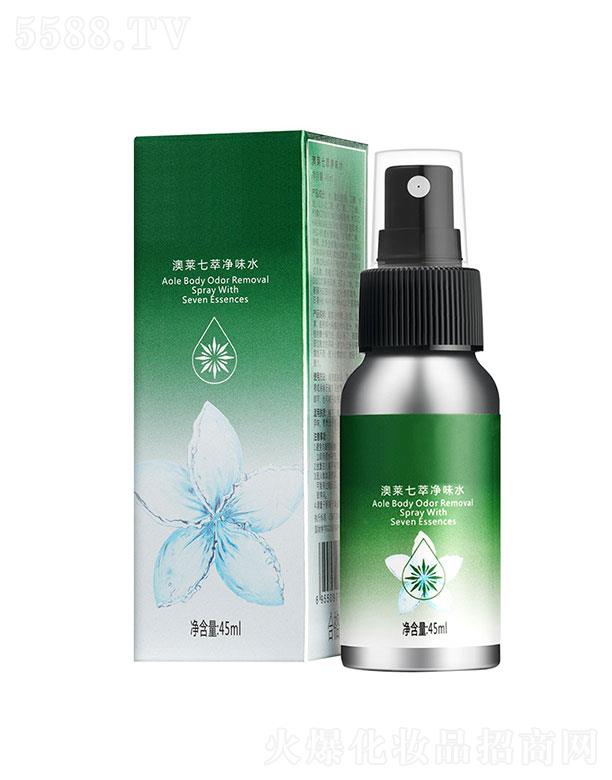 ���R���̓�ζˮ