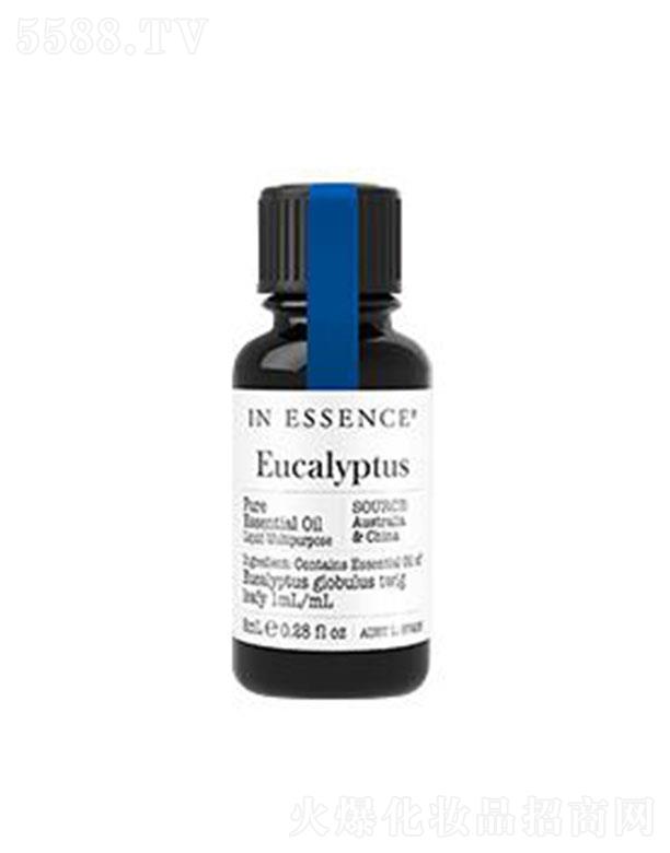 IN ESSENCE�{(l��n)�z�ȼ����η�����