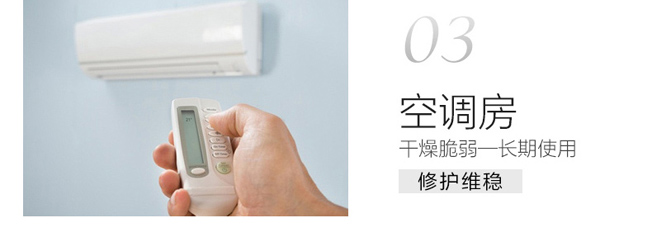 �t���渻��ϩ���g���AҺ