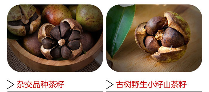 ���ϼ���-ɽ�����{������