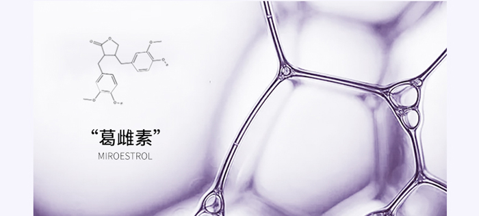 ����Ԋ��Ů���׺�